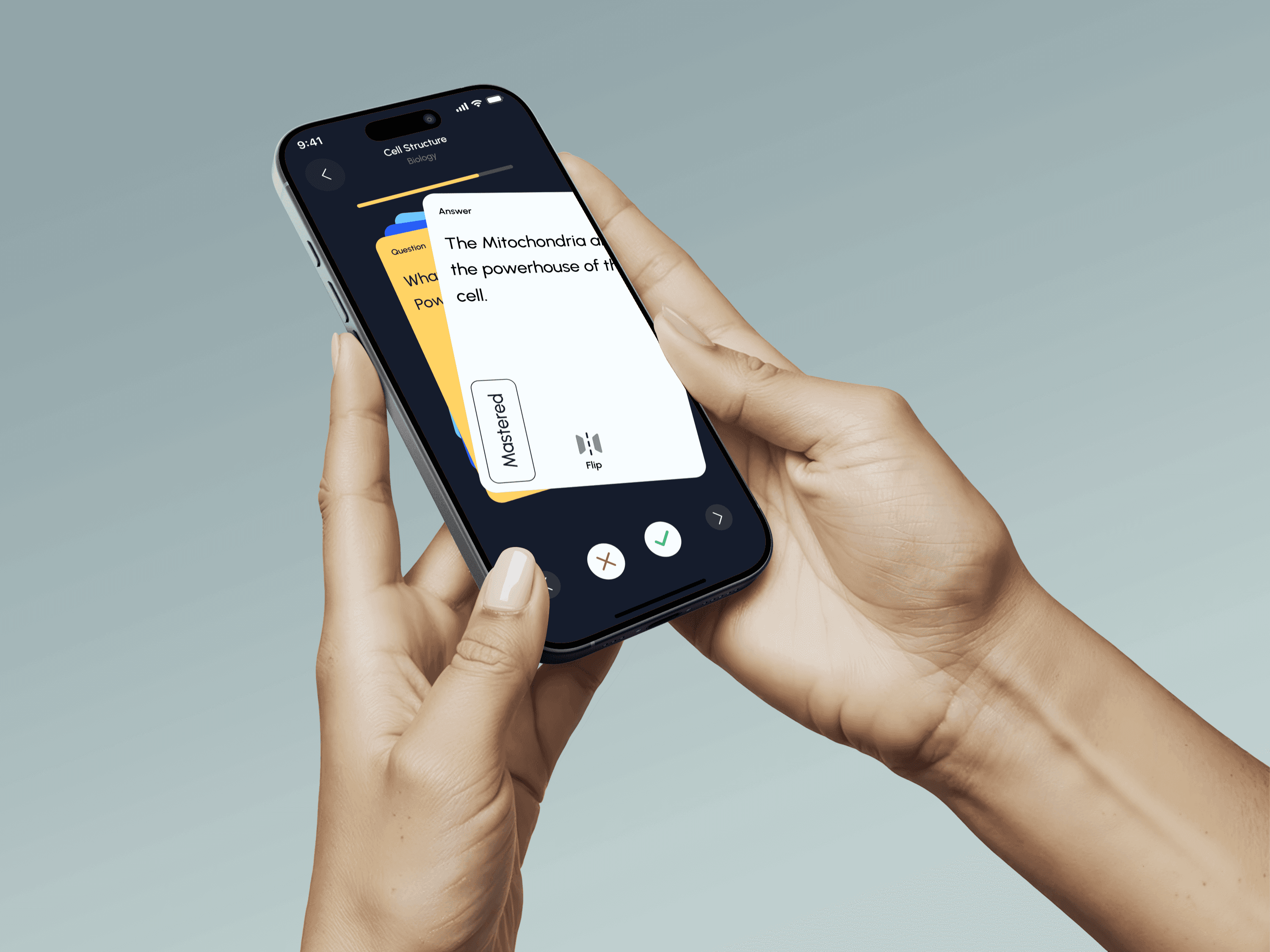 Mobile app — phone in hand